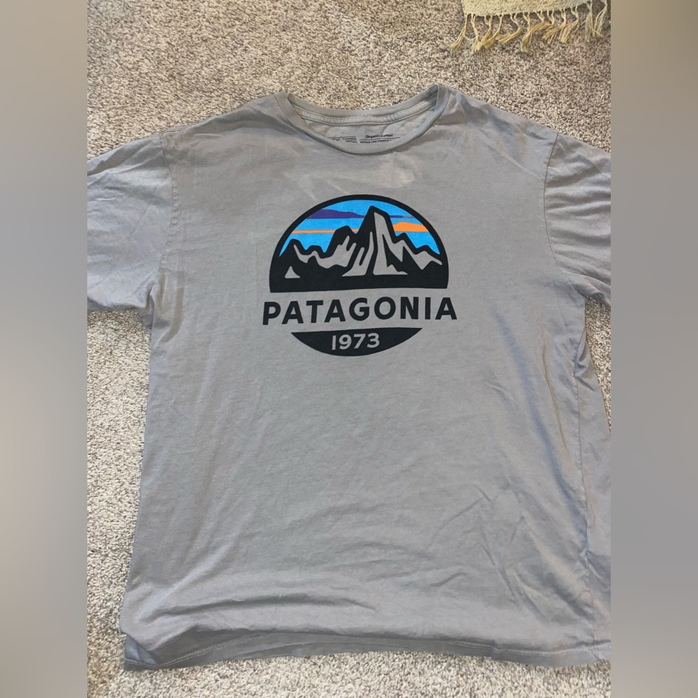 Patagonia grey shirt
